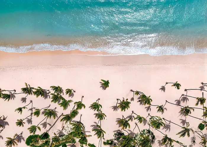 Hyatt Vivid Punta CanaResort Hotel